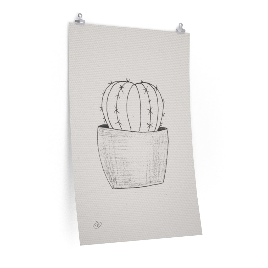 פוסטר Succulent Silver Ball Poster ציור מקורי של גאיה המקדם את המודעות לאלימות בין בני זוג בכלל וכלפי נשים בפרט