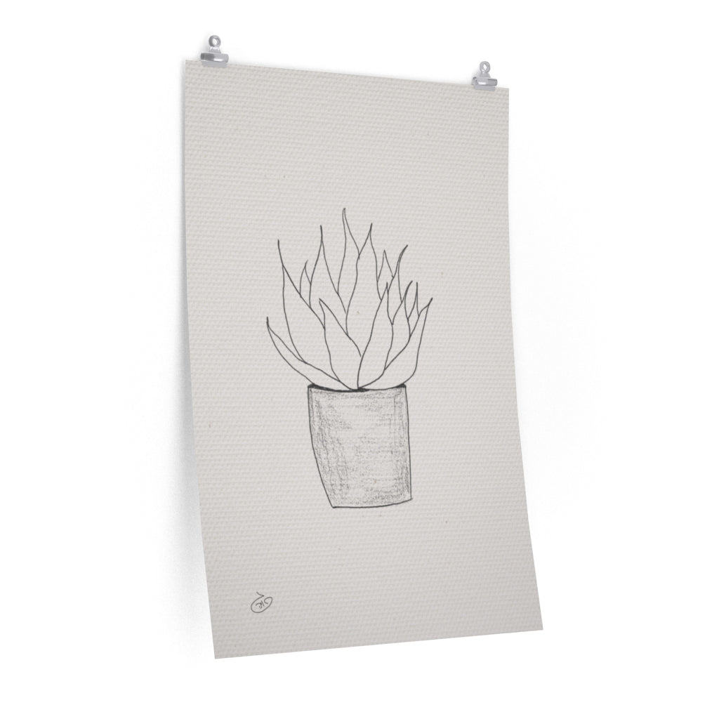 פוסטר Succulent Echeverias Poster ציור מקורי של גאיה המקדם את המודעות לאלימות בין בני זוג בכלל וכלפי נשים בפרט