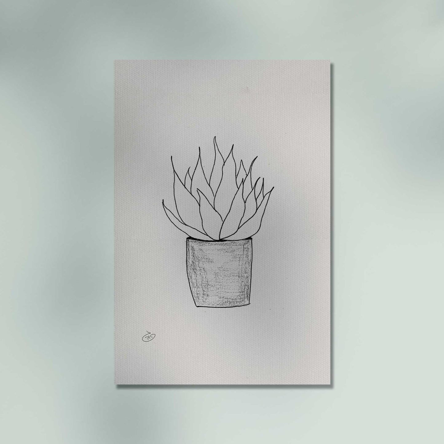 פוסטר Succulent Echeverias Poster ציור מקורי של גאיה המקדם את המודעות לאלימות בין בני זוג בכלל וכלפי נשים בפרט