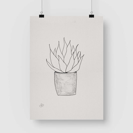פוסטר Succulent Echeverias Poster ציור מקורי של גאיה המקדם את המודעות לאלימות בין בני זוג בכלל וכלפי נשים בפרט