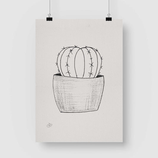 פוסטר Succulent Silver Ball Poster ציור מקורי של גאיה המקדם את המודעות לאלימות בין בני זוג בכלל וכלפי נשים בפרט