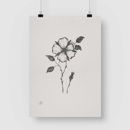 פוסטר Delilah Flower Poster ציור מקורי של גאיה המקדם את המודעות לאלימות בין בני זוג בכלל וכלפי נשים בפרט