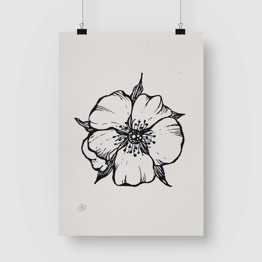 פוסטר Flower - Penelope Poster ציור מקורי של גאיה המקדם את המודעות לאלימות בין בני זוג בכלל וכלפי נשים בפרט