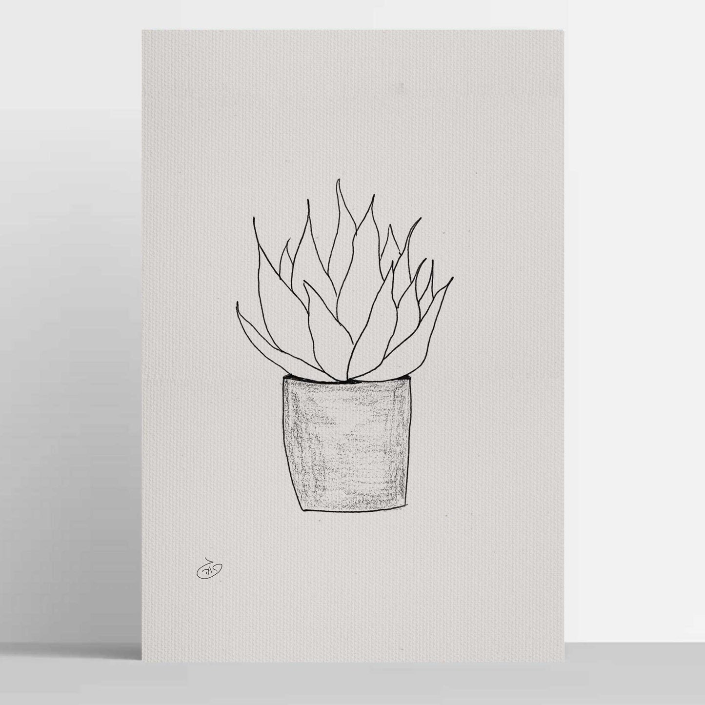 פוסטר Succulent Echeverias Poster ציור מקורי של גאיה המקדם את המודעות לאלימות בין בני זוג בכלל וכלפי נשים בפרט
