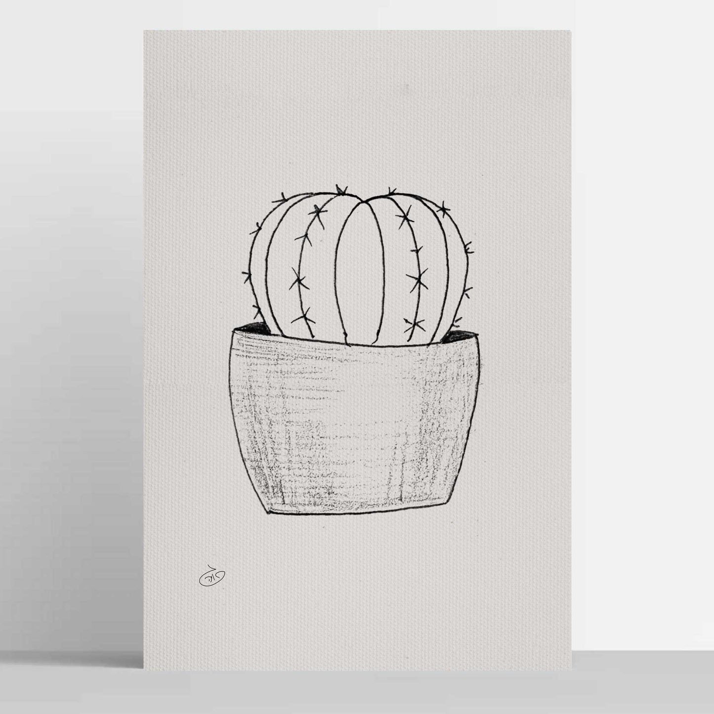 פוסטר Succulent Silver Ball Poster ציור מקורי של גאיה המקדם את המודעות לאלימות בין בני זוג בכלל וכלפי נשים בפרט